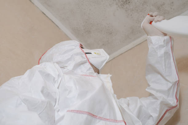 Best Toxic Mold Removal  in Fairlea, WV