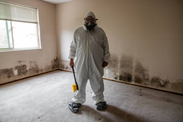 Best Emergency Mold Removal  in Fairlea, WV